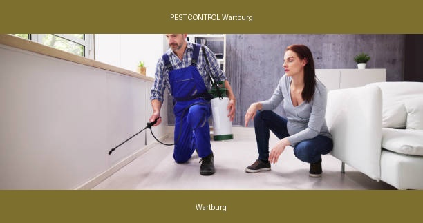 PEST CONTROL Wartburg